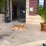 велека бийч * سينيموريتس