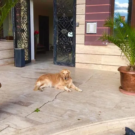 велека бийч * Sinemoretz