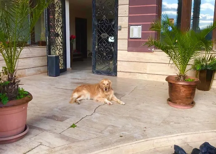 велека бийч * Sinemoretz